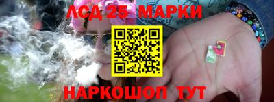 гашик Кулебаки
