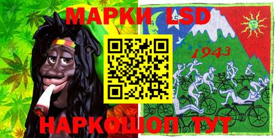 гашик Кулебаки