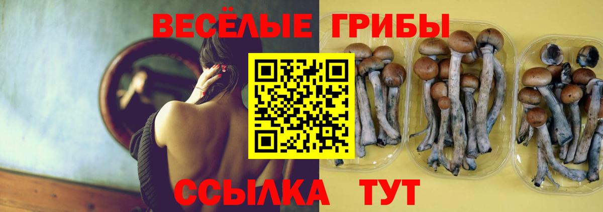 Каменск-Уральский  Галлюциногенные грибы Magic Shrooms  Вход с VPN  Псилоцибиновые грибы Psilocybe 